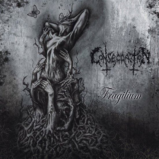 Cover for Consecration · Fragilium (CD) (2019)