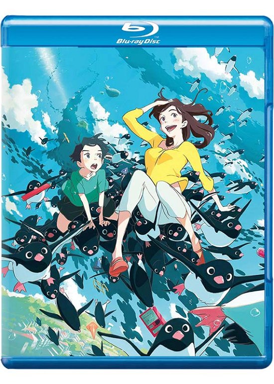 Penguin Highway Collectors Limited Edition Blu-Ray + - Penguin Highway  Limited Collectors Combi Edi - Movies - Anime Ltd - 5037899080634 - March 9, 2020
