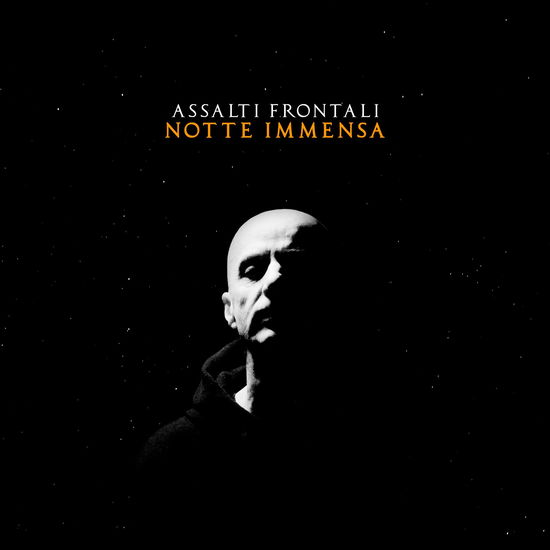 Cover for Assalti Frontali · Notte Immensa (LP) (2024)