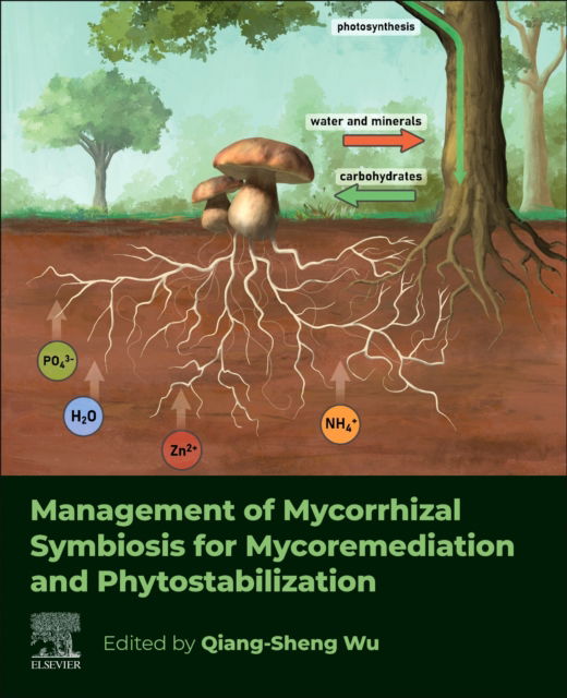 Management of Mycorrhizal Symbiosis for Mycoremediation and Phytostabilization -  - Kirjat - Elsevier - Health Sciences Division - 9780443248634 - perjantai 28. helmikuuta 2025