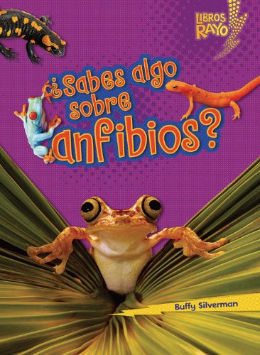 Cover for Buffy Silverman · ..sabes Algo Sobre Anfibios?/ Do You Know About Amphibians? (Libros Rayo - Conoce Los Grupos De Animales /lightning Bolt Books T - Meet the Animal Groups)) (Paperback Book) [Spanish edition] (2012)