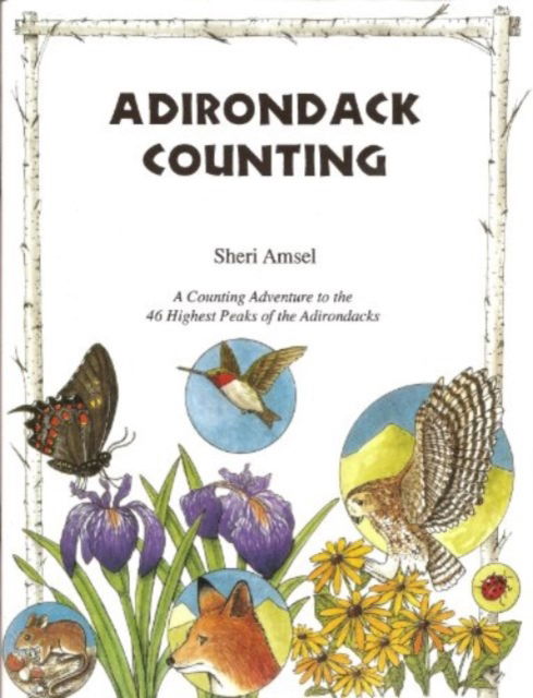 Cover for Sheri Amsel · Adirondack Counting Book (Paperback Book) (1998)