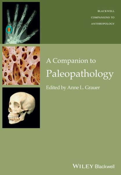 Cover for AL Grauer · A Companion to Paleopathology - Wiley Blackwell Companions to Anthropology (Paperback Book) (2015)