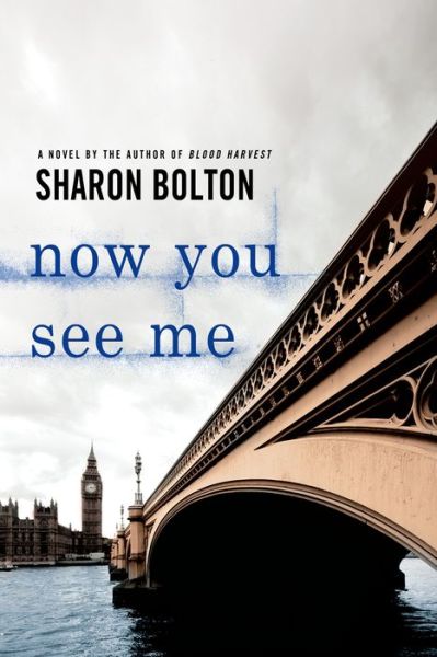 Cover for S J Bolton · Now You See Me (Pocketbok) (2012)