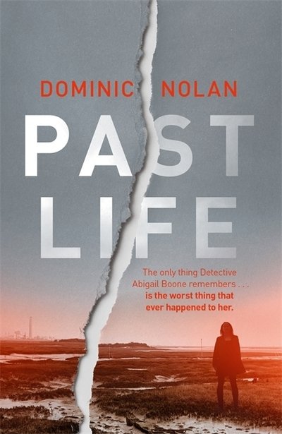 Cover for Dominic Nolan · Past Life: an 'astonishing' and 'gripping' crime thriller (Paperback Bog) (2019)
