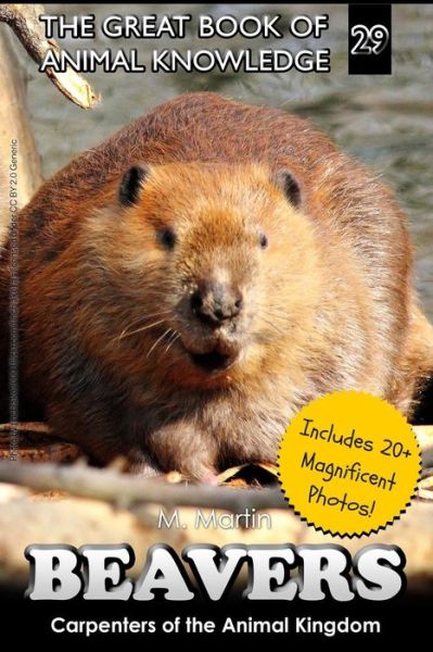 Cover for M Martin · Beavers (Paperback Book) (2016)