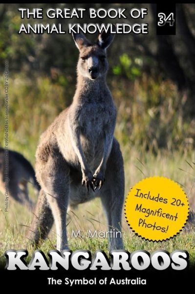 Cover for M Martin · Kangaroos (Paperback Book) (2017)