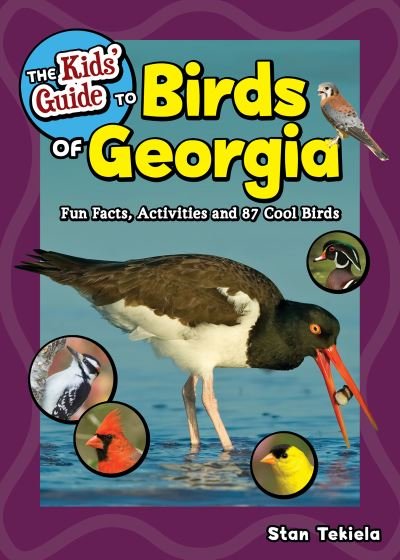 Cover for Stan Tekiela · The Kids' Guide to Birds of Georgia: Fun Facts, Activities and 87 Cool Birds - Birding Children's Books (Paperback Book) (2020)