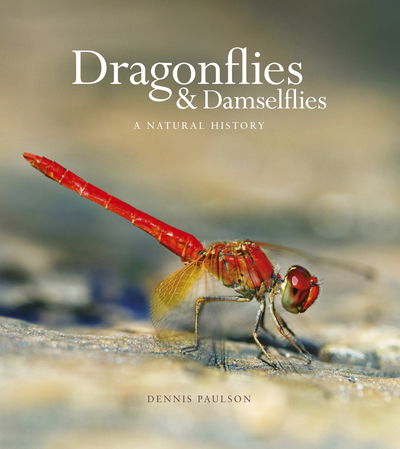 Cover for Dennis Paulson · Dragonflies &amp; Damselfies: A natural history (Hardcover Book) (2019)