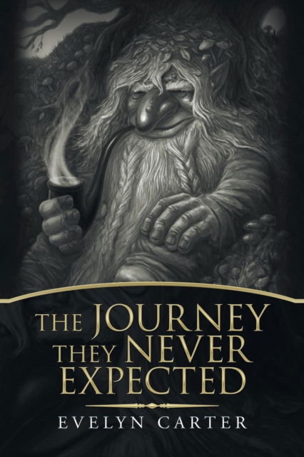 Cover for Evelyn Carter · The Journey They Never Expected (Paperback Book) (2019)