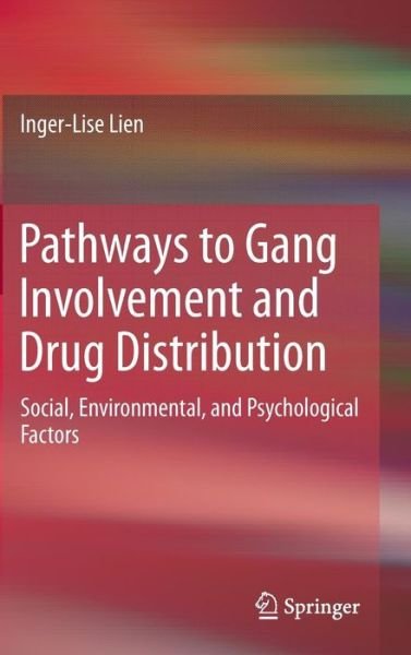 Inger-Lise Lien · Pathways to Gang Involvement and Drug Distribution: Social, Environmental, and Psychological Factors (Gebundenes Buch) [2014 edition] (2013)