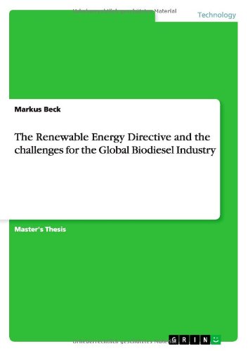 Cover for Markus Beck · The Renewable Energy Directive and the challenges for the Global Biodiesel Industry (Paperback Book) (2012)