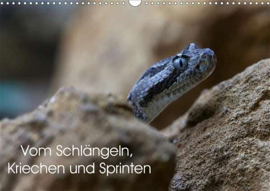 Cover for Krieger · Vom Schlängeln, Kriechen und Sp (Bog)