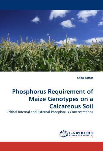 Phosphorus Requirement of Maize Genotypes on a Calcareous Soil: Critical Internal and External Phosphorus Concentrations - Saba Sattar - Bücher - LAP LAMBERT Academic Publishing - 9783843359634 - 28. März 2011