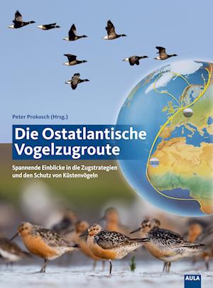 Die Ostatlantische Vogelzugroute - Peter Prokosch - Książki - AULA-Verlag - 9783891048634 - 25 października 2023