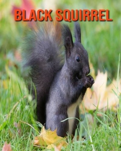 Cover for William Doyle · Black Squirrel (Paperback Book) (2020)