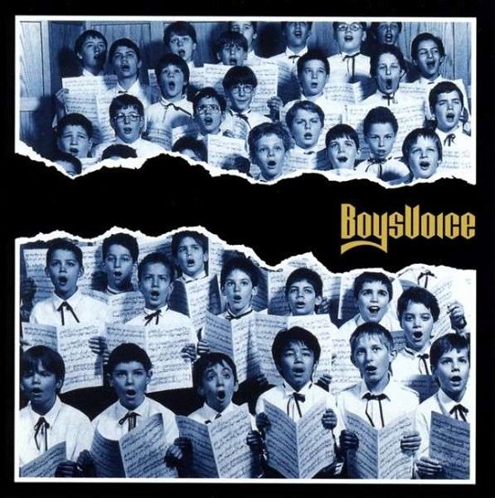 Cover for Boysvoice (CD) (2013)