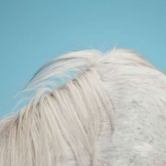 Cover for Widowspeak · All Yours (LP) (2015)