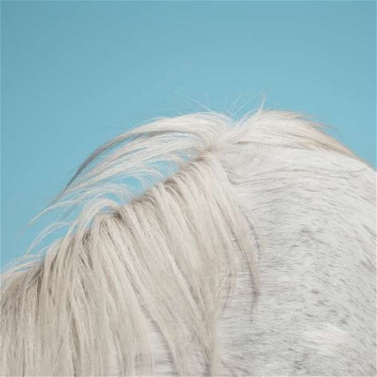 Cover for Widowspeak · All Yours (LP) (2015)