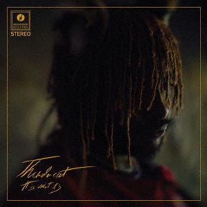 It Is What It Is - Thundercat - Musikk - JPT - 4523132994635 - 2. april 2021