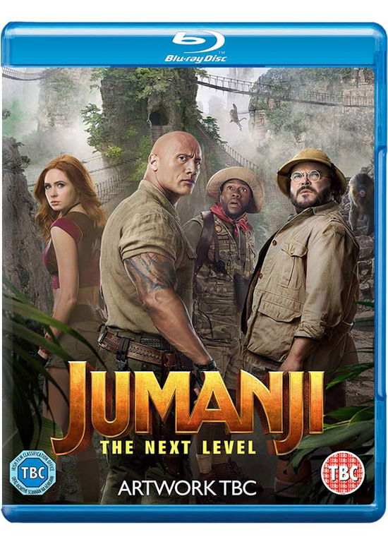 Cover for Fox · Jumanji - The Next Level (Blu-Ray) (2020)