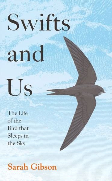 Cover for Sarah Gibson · Swifts and Us: The Life of the Bird That Sleeps in the Sky (Gebundenes Buch) (2021)