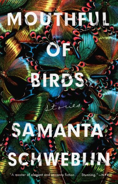 Mouthful of Birds: Stories - Samanta Schweblin - Livres - Penguin Publishing Group - 9780399184635 - 7 janvier 2020