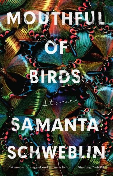 Cover for Samanta Schweblin · Mouthful of Birds: Stories (Taschenbuch) (2020)