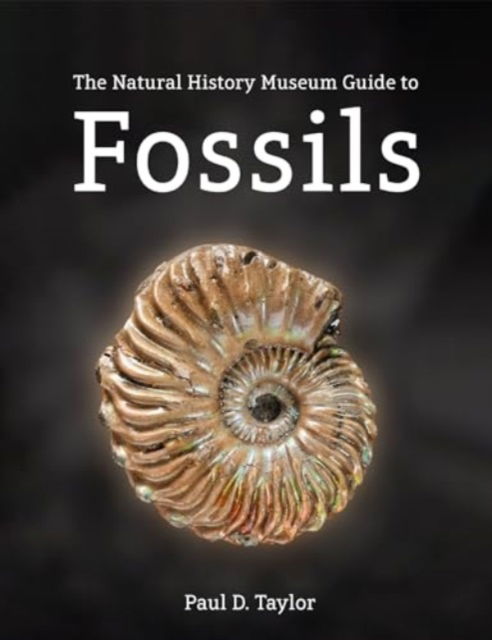 Cover for Paul D. Taylor · Fossils: The essential guide (Hardcover Book) (2025)