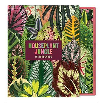 Houseplant Jungle Greeting Assortment Notecards - Galison - Books - Galison - 9780735359635 - August 6, 2019