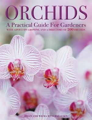 Cover for Andrew Mikolajski · Orchids (Hardcover Book) (2017)