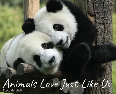 Animals Love Just Like Us - Scott Marshall - Books - Scott Marshall - 9780999450635 - February 1, 2019