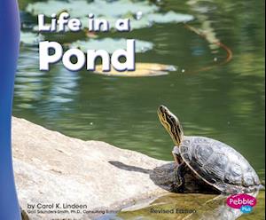 Cover for Carol K Lindeen · Life in a Pond (Living in a Biome) (Paperback Book) (2016)