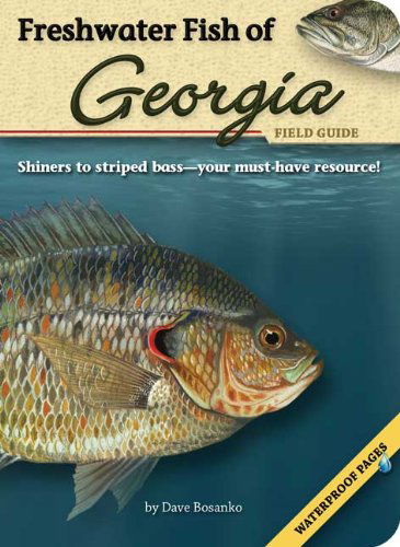 Cover for Dave Bosanko · Freshwater Fish of Georgia Field Guide - Fish Identification Guides (Paperback Book) (2010)