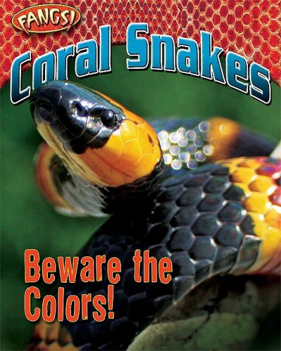 Coral Snakes: Beware the Colors! (Fangs) - Nancy White - Books - Bearport Publishing - 9781597167635 - 2009