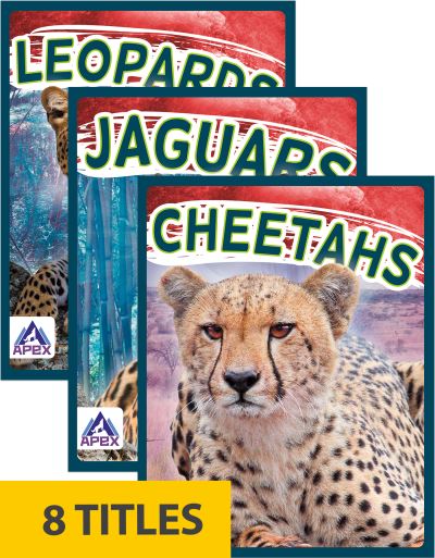 Wild Cats (Set of 8) - Sophie Geister-Jones - Books - Apex / Wea Int'l - 9781637380635 - August 1, 2021