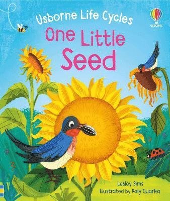 Cover for Lesley Sims · One Little Seed - Life Cycles (Board book) (2024)