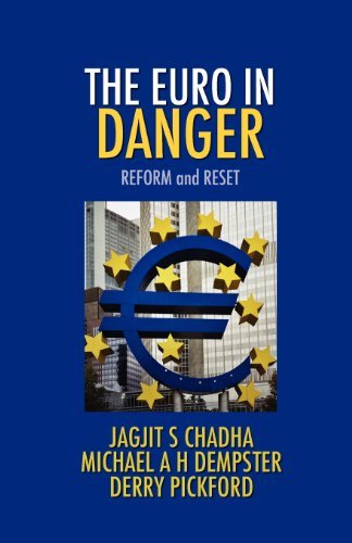 Cover for Jagjit S Chadha · The Euro In Danger (Paperback Book) (2012)