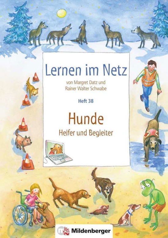 Cover for Datz · Lernen im Netz.37 Digitale Welt (Book)