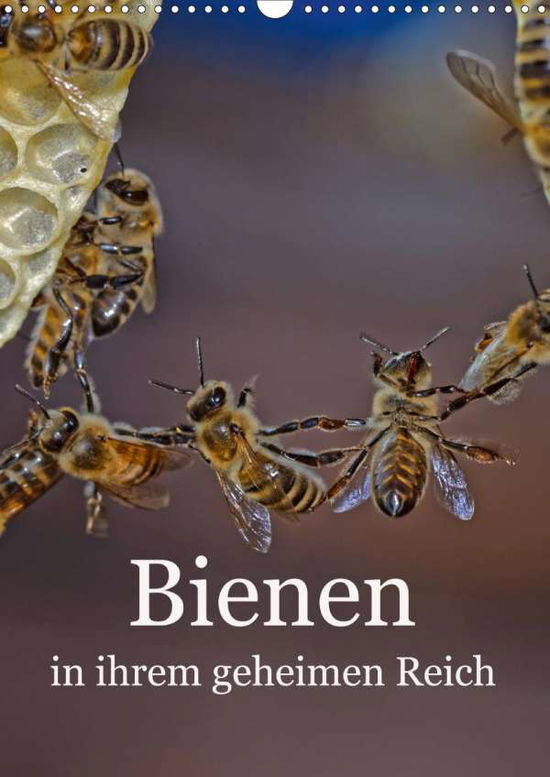 Bienen in ihrem geheimen Reich - Bangert - Książki -  - 9783671779635 - 