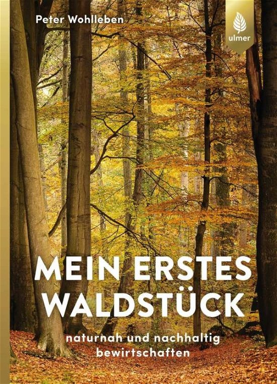 Cover for Wohlleben · Mein erstes Waldstück (Bok)
