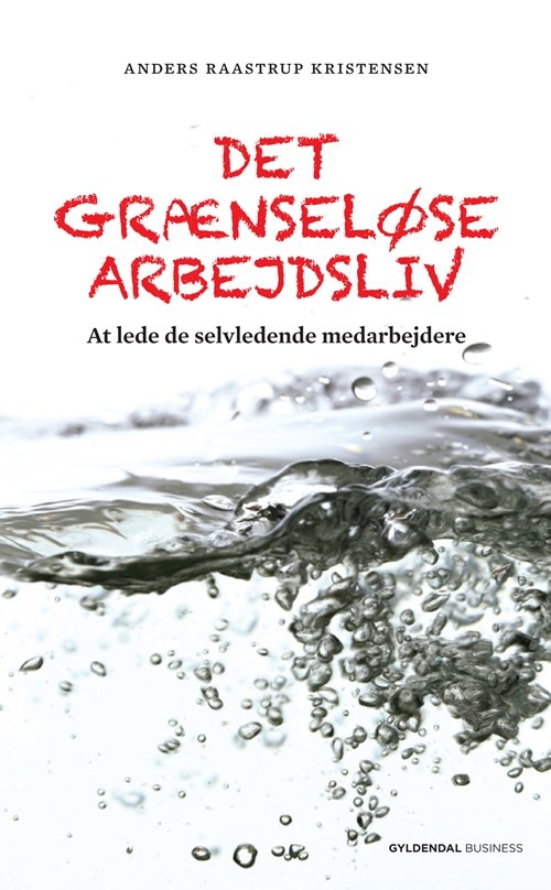 Cover for Anders Raastrup Kristensen · Det grænseløse arbejdsliv (Hæftet bog) [1. udgave] (2011)