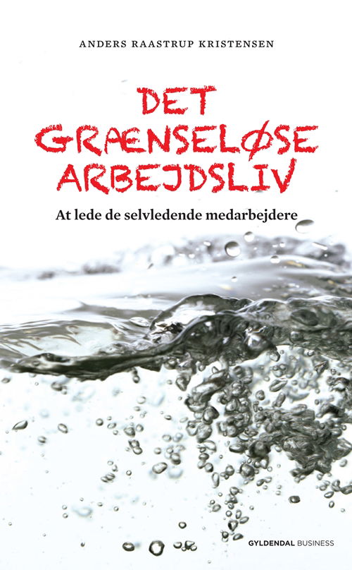 Cover for Anders Raastrup Kristensen · Det grænseløse arbejdsliv (Heftet bok) [1. utgave] (2011)