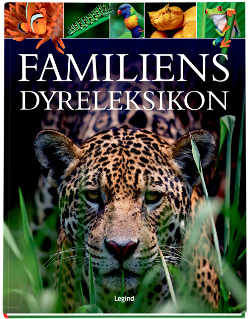 Cover for Ingen Forfatter · Familiens dyreleksikon (Inbunden Bok) [1:a utgåva] (2021)