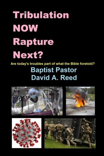 David A Reed · Tribulation NOW Rapture Next? (Paperback Book) (2020)