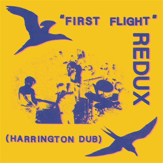 Cover for Chris Forsyth · First Flight Redux (harrington Dub) (LP) (2022)