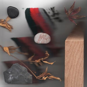 Cover for Jamie Woon · Making Time (CD) [Limited edition] [Digipak] (2015)