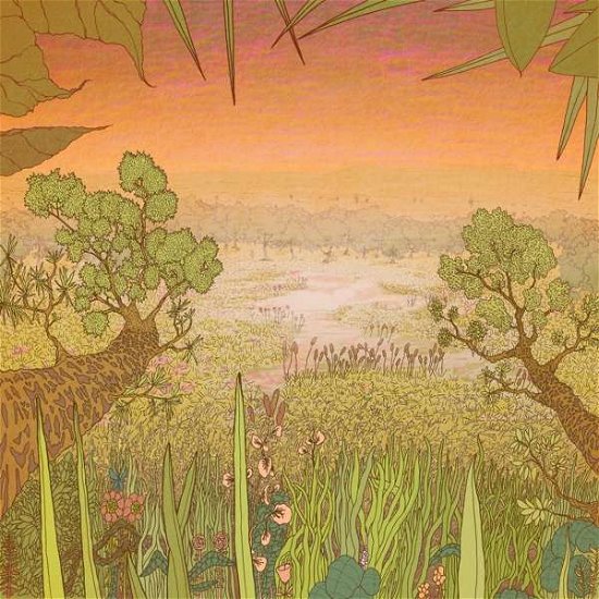 Cover for Pine Barons · Mirage On The Meadow (LP) (2020)