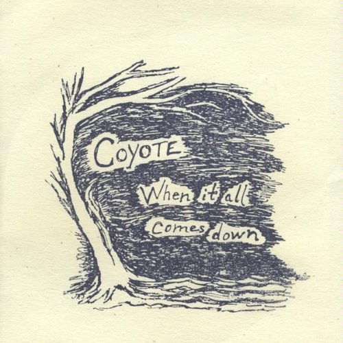 Cover for Coyote · When It All Comes Down (CD) (2010)