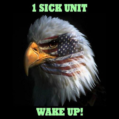 Cover for 1 Sick Unit · Wake Up! (CD) (2011)